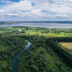 Nysa Kłodzka-floden i Polen. Foto: Sweco