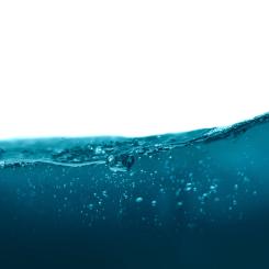 Foto: daniel sinoca/unsplash