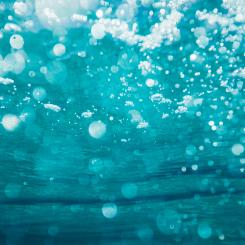 Förutom finansiella priser kommer vinnarna att delta i evenemang och projekt ledda av Världsekonomiska forumet och dess partners. Foto: Sime Basioli/Unsplash