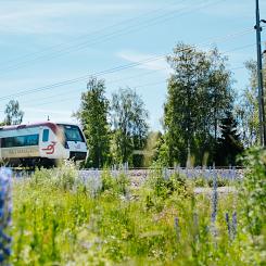 Tåg i bergslagen, Regina. Foto: Dalatrafik