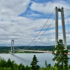 Timrå. Foto: Thom Reijnders/Unsplash