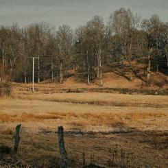 Torka kan även slå hårt mot odling och uppfödning av djur och minska tillgången till råvaror i nästa steg av livsmedelsproduktionen. Bild visar Dalsjöfors. Foto: Magnus Jonasson/Unsplash