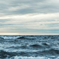 Nordic Hydrogen Route och Baltic Sea Hydrogen Collector utsedda till projekt av gemensamt intresse av EU-kommissionen Foto: ant rozetsky/unsplash