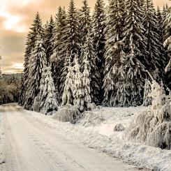 Foto: Pigoff PhotographY/Unsplash