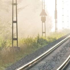 För att minska viltolyckorna på några av de mest utsatta järnvägssträckorna med 80 procent. Foto: Trafikverket