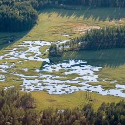 Utdikning av våtmarker har skett i stor skala under flera århundraden. Foto: Naturvårdsverket