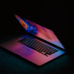 Foto: omid armin/unsplash