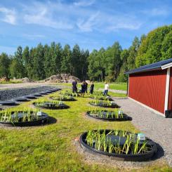Att bygga denna typ av anläggning blir mycket mer ekonomisk än att bygga ett traditionellt reningsverk. Foto: Alnarp Cleanwater