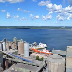 Stopp för kalkstensbrytningen i Slite resulterar i ett produktionsbortfall på 140 miljarder kronor. Foto: Cementa